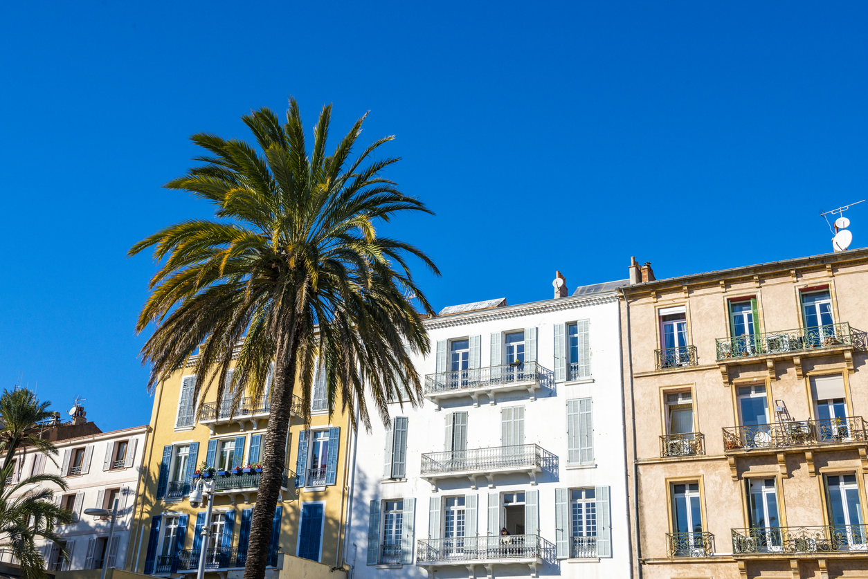 Palm trees and colorful buildings in Hyères - hotel les medes porquerolles