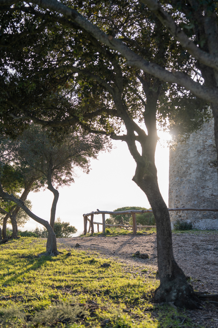 tour di porquerolles