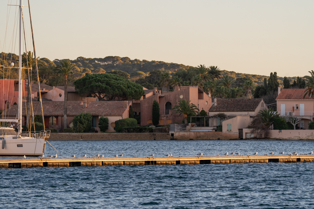 navetta per l'isola di porquerolles