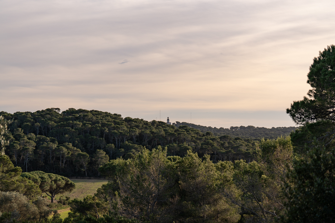 paesaggio porquerolles 1