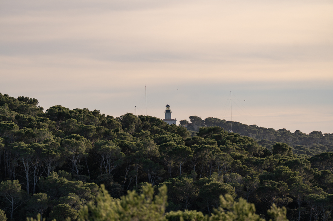 paesaggio porquerolles